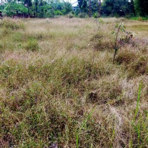 jual cepat tanah di majalengka wetan kabupaten majalengka