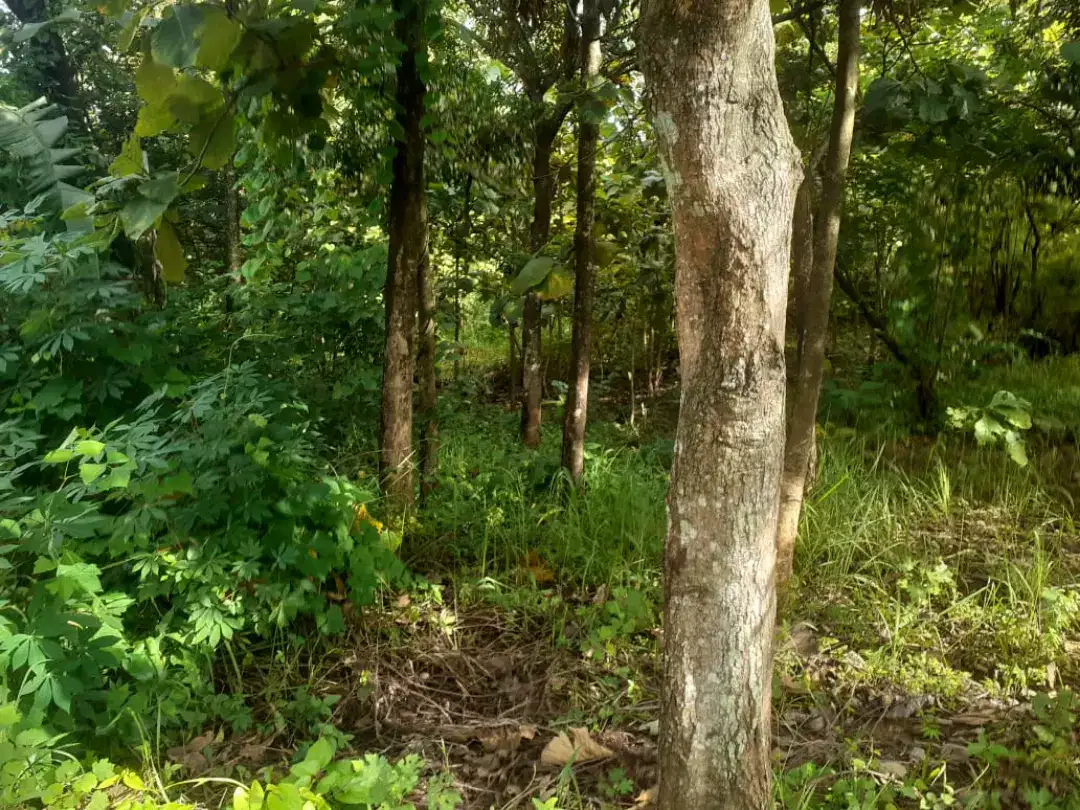 jual tanah murah di Panyingkiran Kabupaten Majalengka